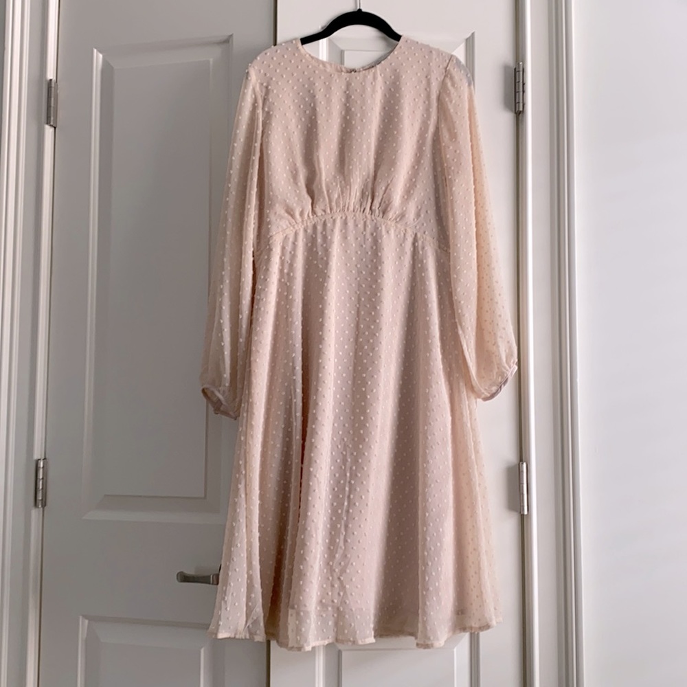 Blush Dress w/ Sheer Sleeves